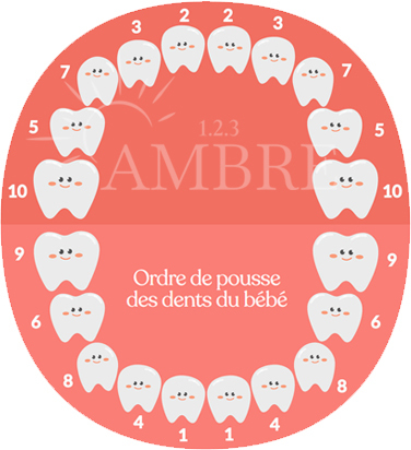 Poussee Dentaire Comment Soulager Les Dents De Bebe
